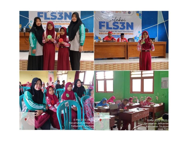 Pelaksanaan FLS3N
